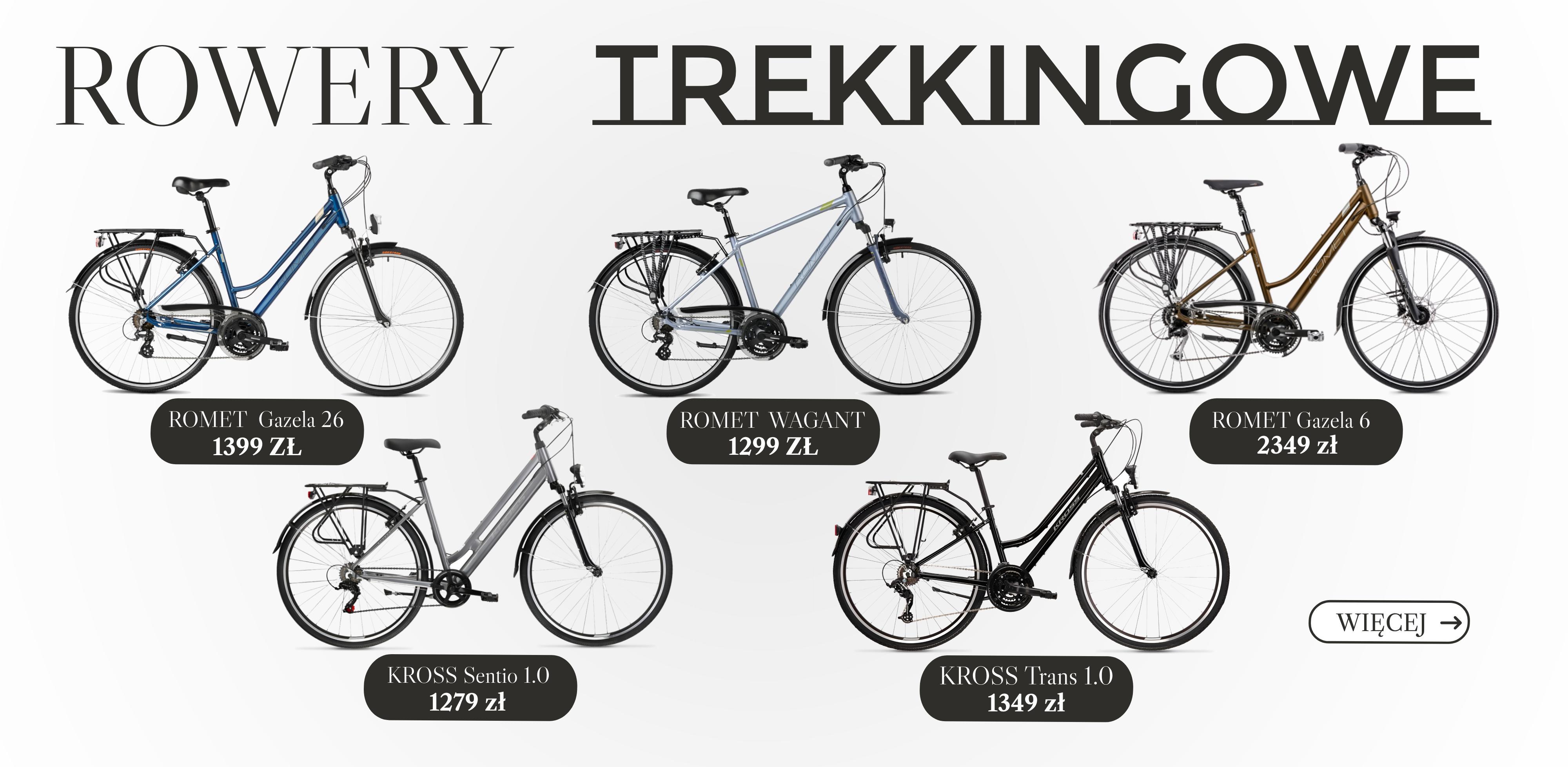 Rowery_Trekkingowe_-02.png