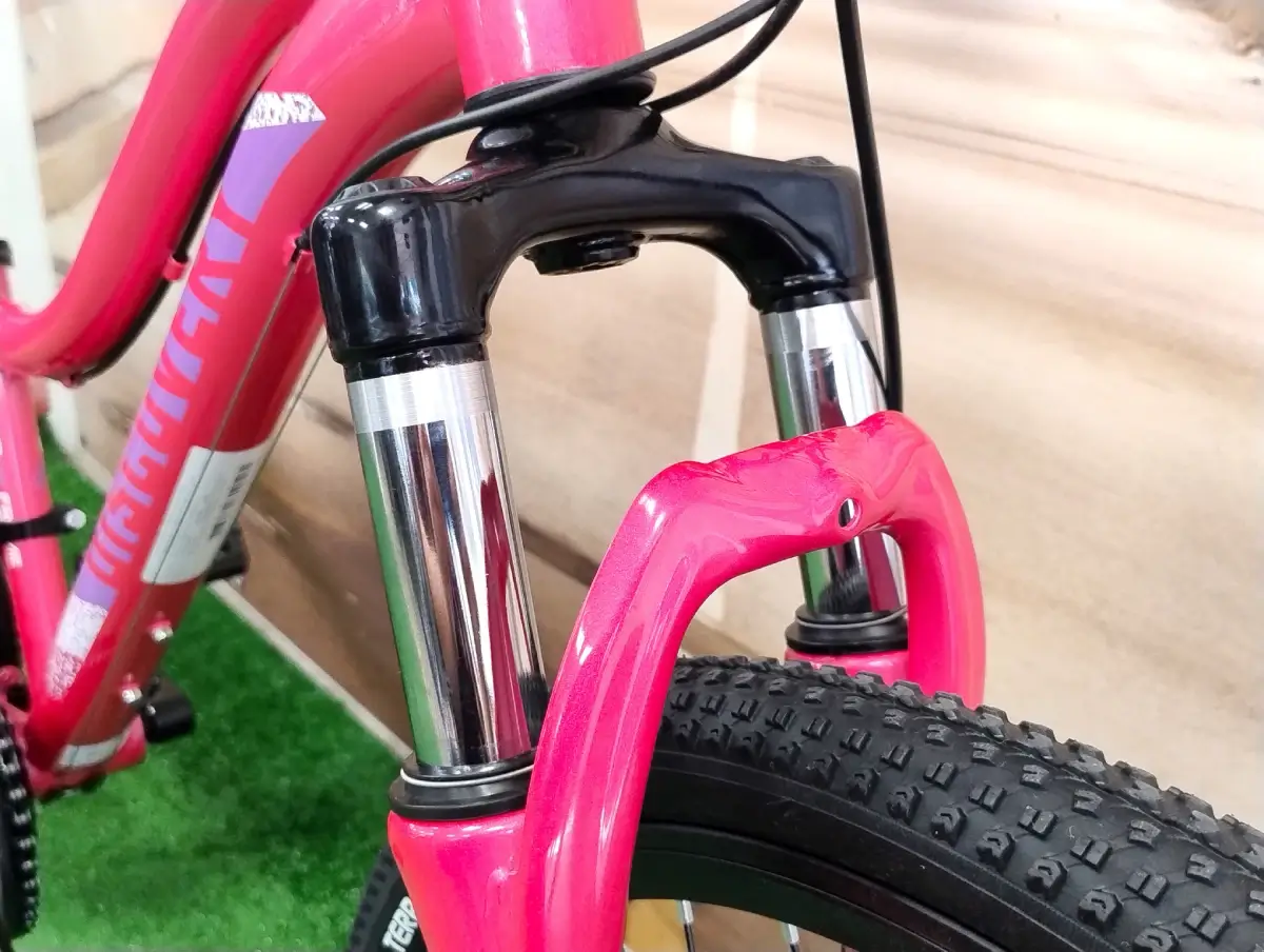 Rower_gorski_dla_dziewczynki_DISCOVERY_KELLY