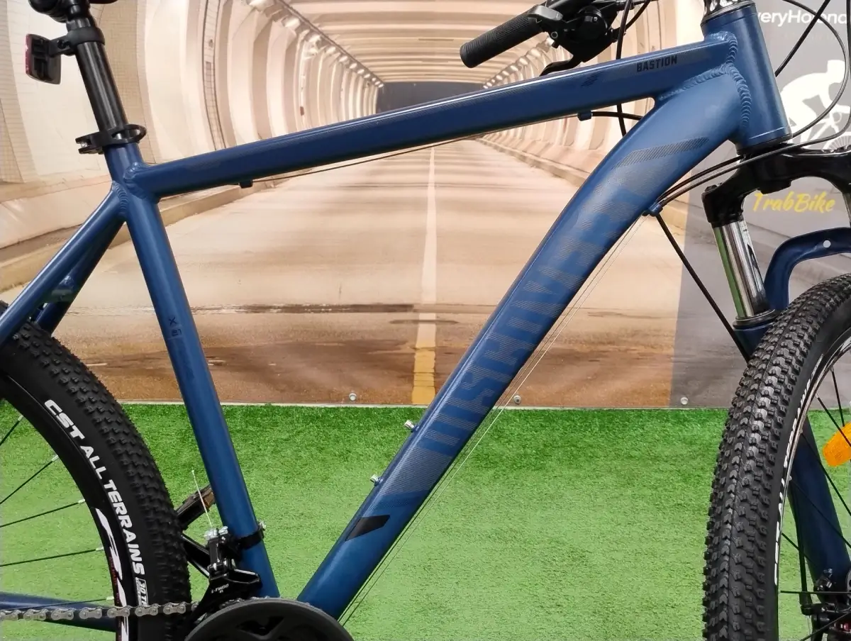 trabike_rower_gorski_mtb_discovery_bastion_niebieski_21_3.webp