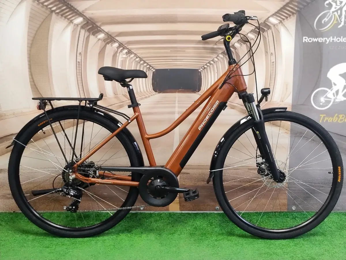 trabike_rower_elektryczny_romet_proeco_trk_2.0_brazowy_18_13.webp