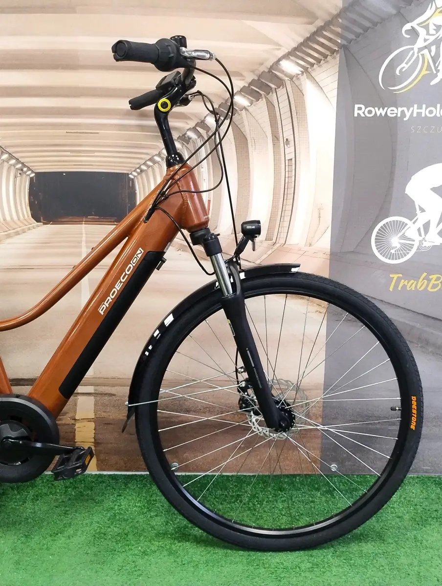 trabike_rower_elektryczny_romet_proeco_trk_2.0_brazowy_18_14.webp