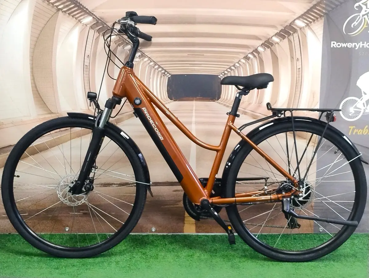 trabike_rower_elektryczny_romet_proeco_trk_2.0_brazowy_18_2.webp
