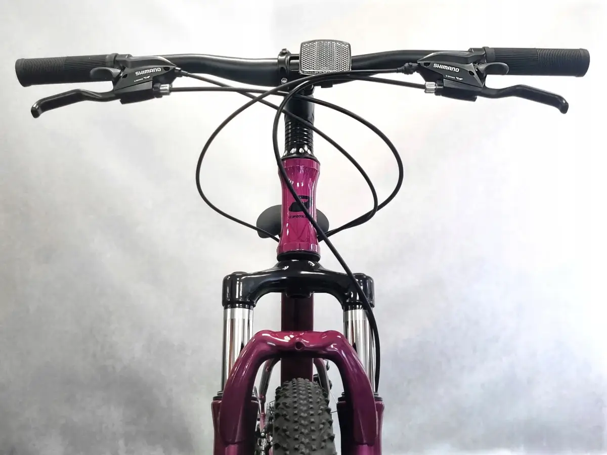 trabike_rower_gorski_mtb_formula_alpina_15_fiolet_3.webp