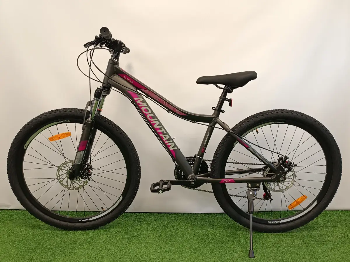 trabike_rower_gorski_MTB_mountain_alpina_15_czarna_2.webp