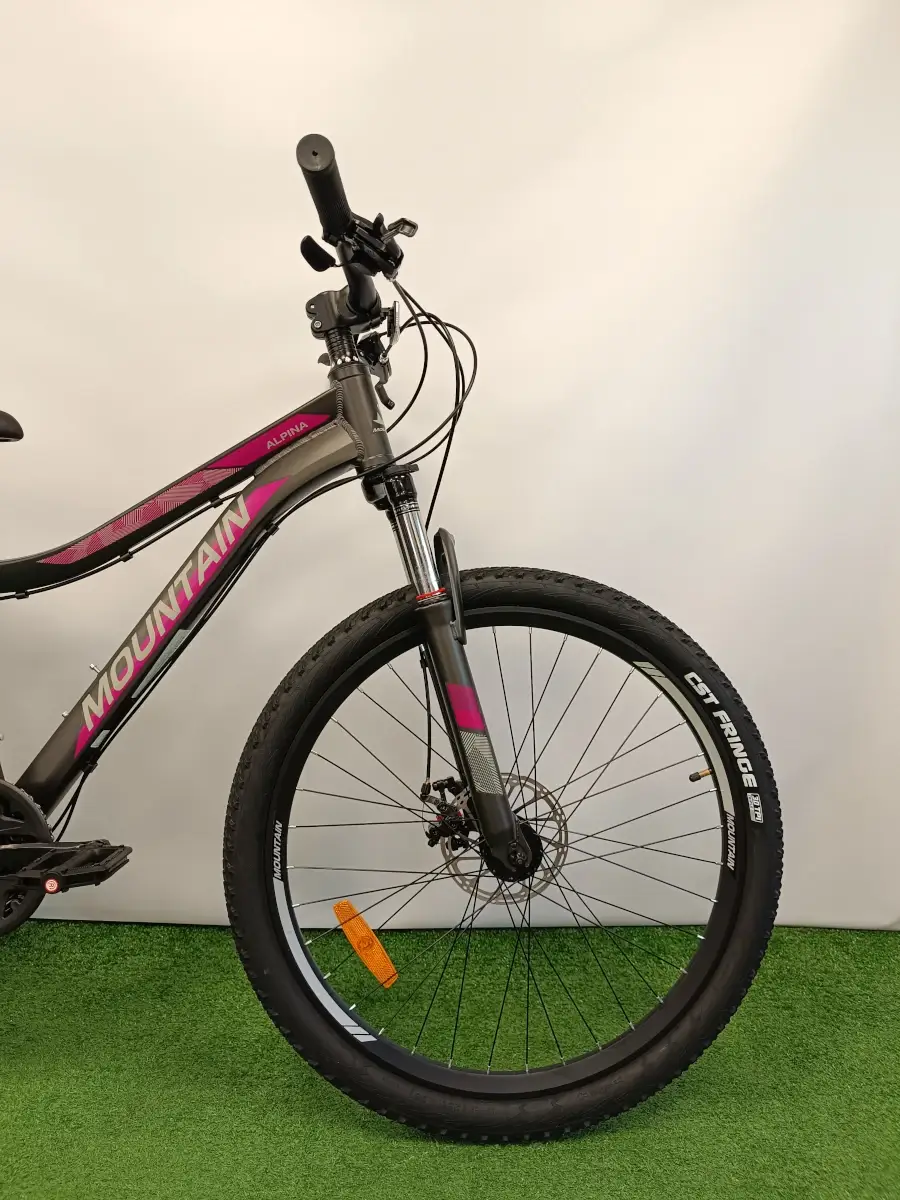 trabike_rower_gorski_MTB_mountain_alpina_15_czarna_3.webp